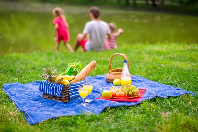 Piknik Sofralarımızı Şenlendirecek 5 Yemek Önerisi