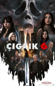 ILIK 6